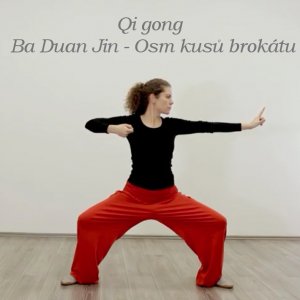 Qi gong - Ba Duan Jin - Osm kusů brokátu