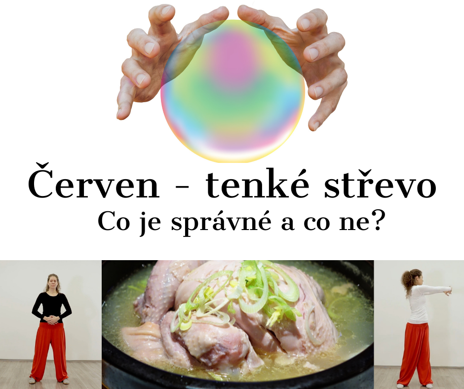 Tenké střevo v tčm